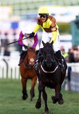 CHELTENHAM, ENGLAND - MARCH 17: Paul Townend on board Galopin Des Champs celebrate after winning the Boodles Cheltenham Gold Cup Chase during day four of the Cheltenham Festival 2023 at Cheltenham Racecourse on March 17, 2023 in Cheltenham, England. (Photo by Michael Steele/Getty Images)