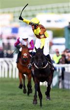 CHELTENHAM, ENGLAND - MARCH 17: Paul Townend on board Galopin Des Champs celebrate after winning the Boodles Cheltenham Gold Cup Chase during day four of the Cheltenham Festival 2023 at Cheltenham Racecourse on March 17, 2023 in Cheltenham, England. (Photo by Michael Steele/Getty Images)