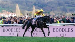 2023 Gold Cup Result - Galopin Des Champs wins at Cheltenham