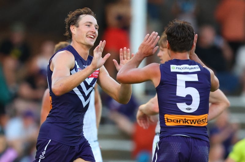 fremantle dockers