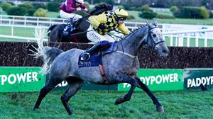 Grand National Market Movers - Four horses being heavily backed at Aintree