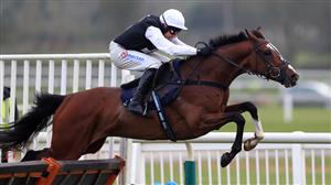 Newspaper Racing Tips - Wilde About Oscar a popular pick on Midlands National day