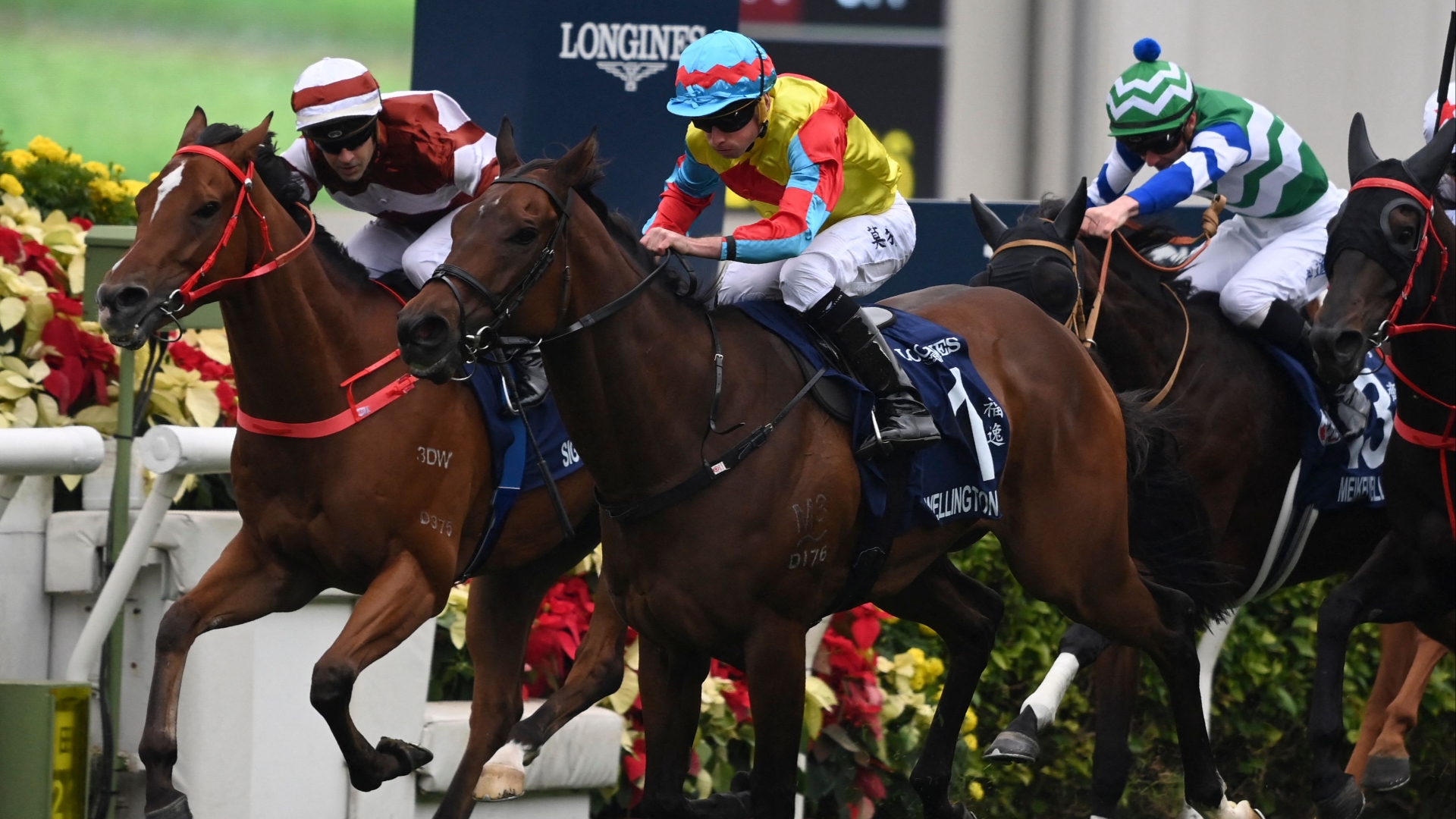 Queen's Silver Jubilee Cup Tips and Odds