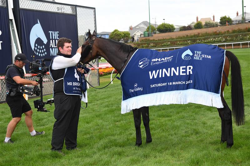 MELBOURNE, AUSTRALIA - MARCH 18: Mr Brightside after winning Race 7, the The Sharp Eit All-star Mile, during Melbourne Racing at Moonee Valley Racecourse on March 18, 2023 in Melbourne, Australia. (Photo by Vince Caligiuri/Getty Images)