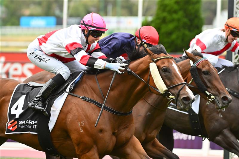 MELBOURNE, AUSTRALIA - MARCH 18: Carleen Hefel riding Vongole defeats Blaike McDougall riding Fearless Writer in Race 2, the Sharp Extensive It Handicap, during Melbourne Racing at Moonee Valley Racecourse on March 18, 2023 in Melbourne, Australia. (Photo by Vince Caligiuri/Getty Images)