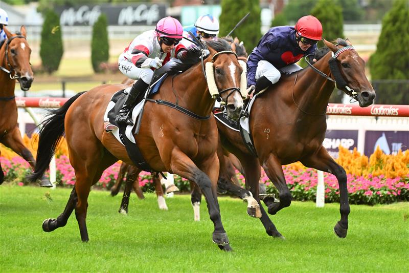 MELBOURNE, AUSTRALIA - MARCH 18: Carleen Hefel riding Vongole defeats Blaike McDougall riding Fearless Writer in Race 2, the Sharp Extensive It Handicap, during Melbourne Racing at Moonee Valley Racecourse on March 18, 2023 in Melbourne, Australia. (Photo by Vince Caligiuri/Getty Images)