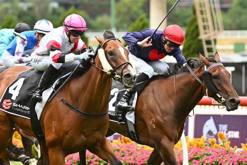 MELBOURNE, AUSTRALIA - MARCH 18: Carleen Hefel riding Vongole defeats Blaike McDougall riding Fearless Writer in Race 2, the Sharp Extensive It Handicap, during Melbourne Racing at Moonee Valley Racecourse on March 18, 2023 in Melbourne, Australia. (Photo by Vince Caligiuri/Getty Images)