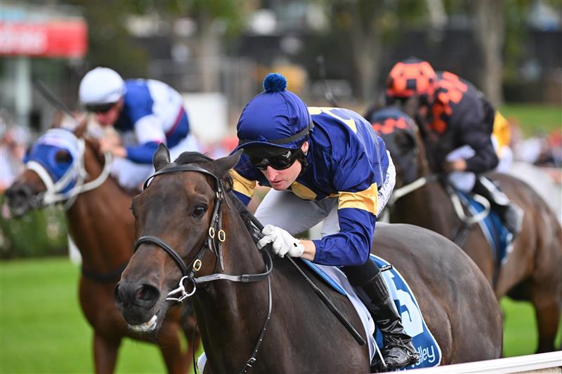 MELBOURNE, AUSTRALIA - MARCH 18: Craig Newitt riding Munhamek winning Race 5, the The Branched Logistics Mugatoo, during Melbourne Racing at Moonee Valley Racecourse on March 18, 2023 in Melbourne, Australia. (Photo by Vince Caligiuri/Getty Images)
