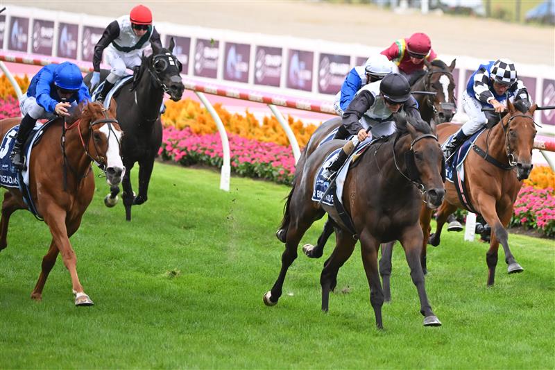 MELBOURNE, AUSTRALIA - MARCH 18: Luke Currie riding Mr Brightside defeats Ben Melham riding Cascadian in Race 7, the The Sharp Eit All-star Mile, during Melbourne Racing at Moonee Valley Racecourse on March 18, 2023 in Melbourne, Australia. (Photo by Vince Caligiuri/Getty Images)