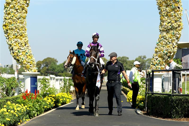 SYDNEY, AUSTRALIA - MARCH 18: Nash Rawiller riding Lindermann wins Race 4 Sky Racing Rosehill Guinea during the Longines Golden Slipper Day - Sydney Racing at Rosehill Gardens on March 18, 2023 in Sydney, Australia. (Photo by Jeremy Ng/Getty Images)