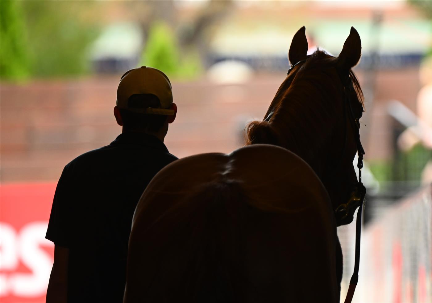 MELBOURNE, AUSTRALIA - MARCH 18: Midwest after winning Race 1, the Powerflo Solutions Vobis Gold Comet, during Melbourne Racing at Moonee Valley Racecourse on March 18, 2023 in Melbourne, Australia. (Photo by Vince Caligiuri/Getty Images)