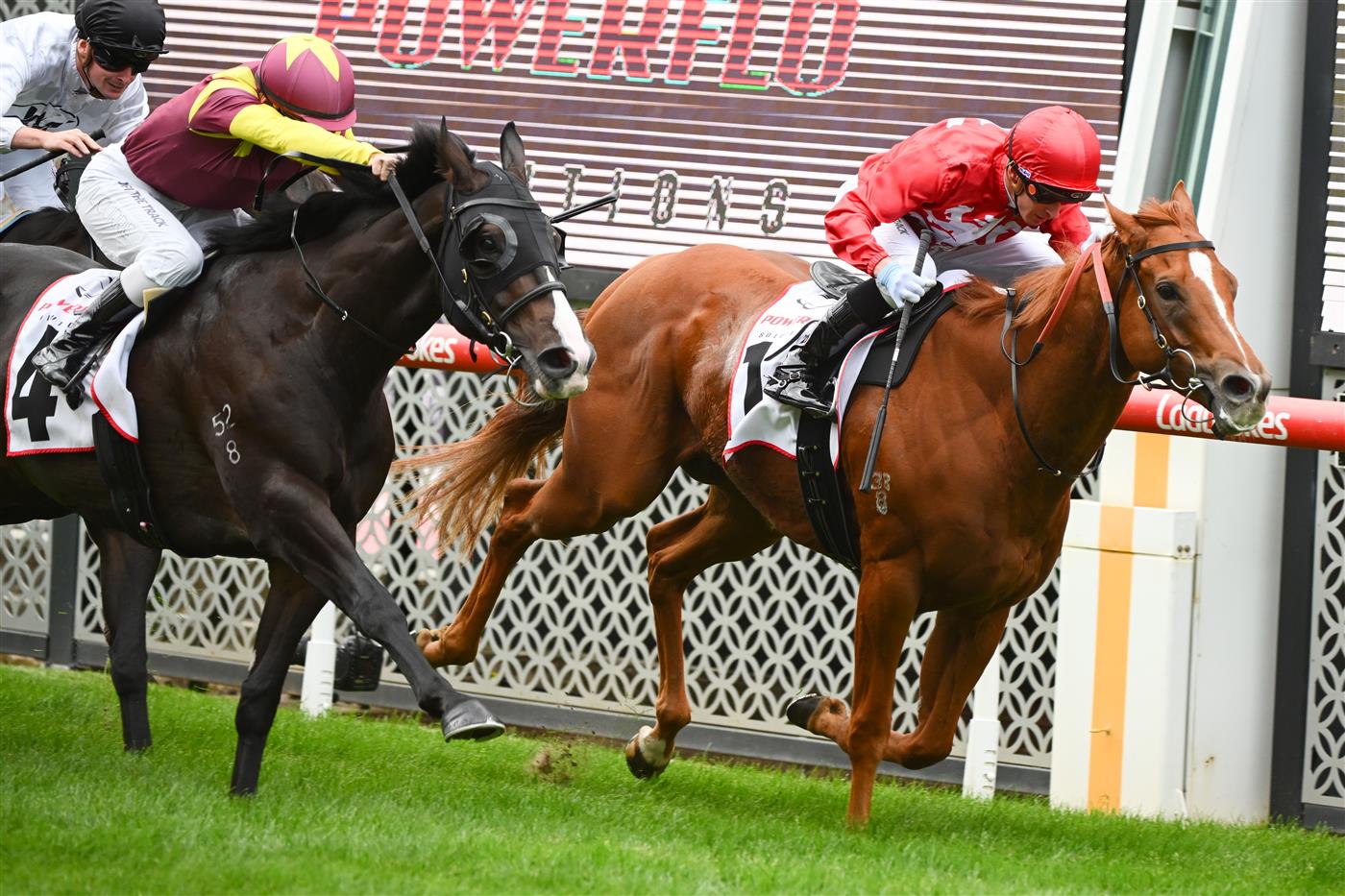 MELBOURNE, AUSTRALIA - MARCH 18: Daniel Moor riding Midwest winning Race 1, the Powerflo Solutions Vobis Gold Comet, during Melbourne Racing at Moonee Valley Racecourse on March 18, 2023 in Melbourne, Australia. (Photo by Vince Caligiuri/Getty Images)