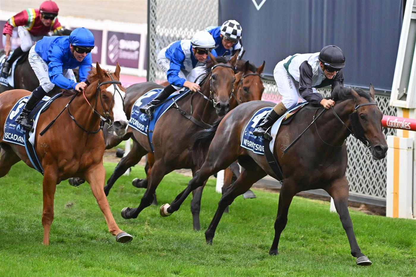 MELBOURNE, AUSTRALIA - MARCH 18: Luke Currie riding Mr Brightside defeats Ben Melham riding Cascadian in Race 7, the The Sharp Eit All-star Mile, during Melbourne Racing at Moonee Valley Racecourse on March 18, 2023 in Melbourne, Australia. (Photo by Vince Caligiuri/Getty Images)