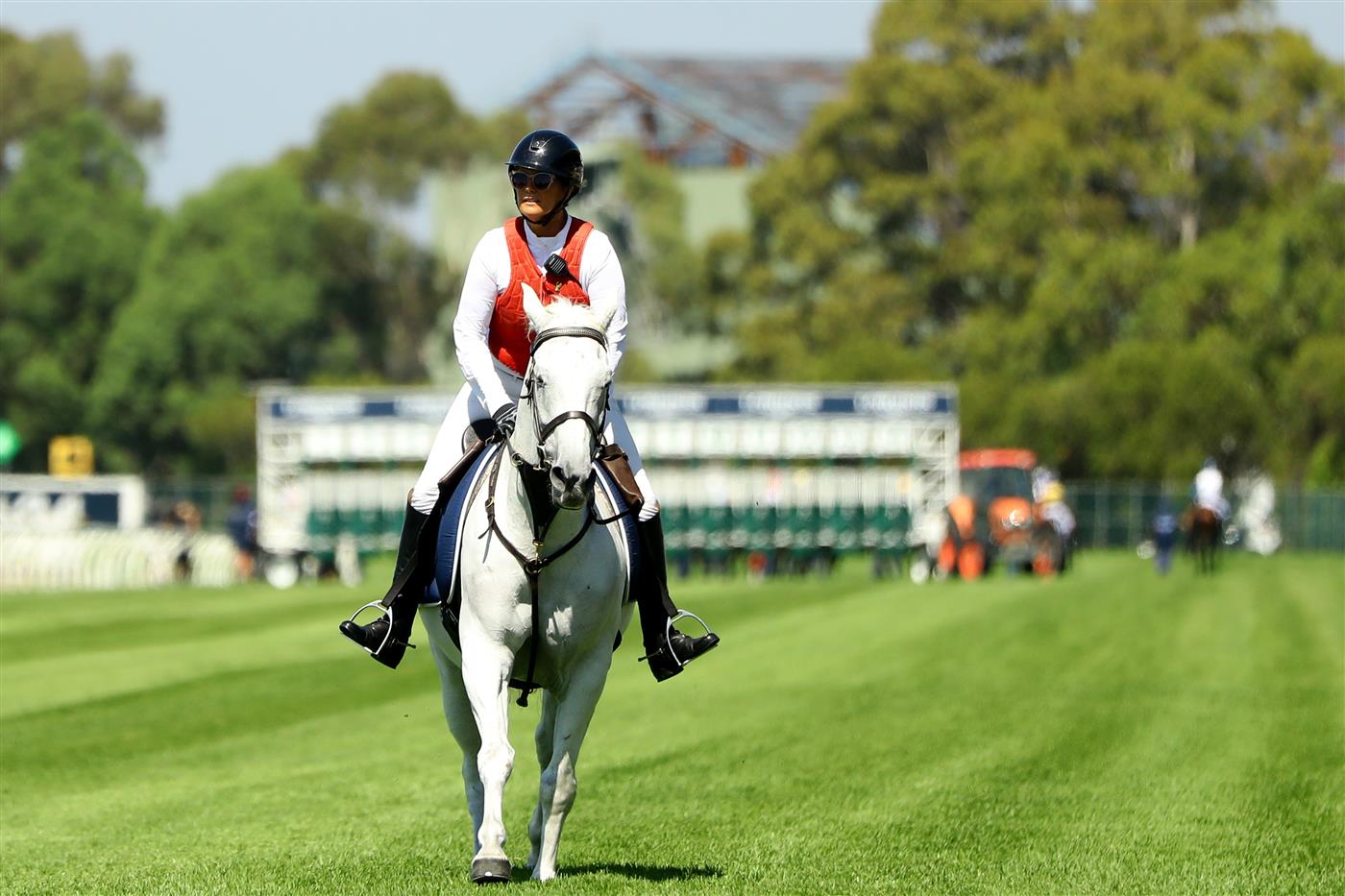 SYDNEY, AUSTRALIA - MARCH 18: A white horse is seen prior to the 2500m Race 2 Kia N E Manion Cup during the Longines Golden Slipper Day - Sydney Racing at Rosehill Gardens on March 18, 2023 in Sydney, Australia. (Photo by Jeremy Ng/Getty Images)