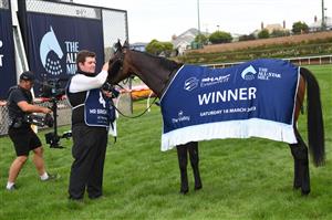 MELBOURNE, AUSTRALIA - MARCH 18: Mr Brightside after winning Race 7, the The Sharp Eit All-star Mile, during Melbourne Racing at Moonee Valley Racecourse on March 18, 2023 in Melbourne, Australia. (Photo by Vince Caligiuri/Getty Images)