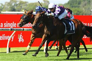 SYDNEY, AUSTRALIA - MARCH 18: Dylan Gibbons riding Wealthofknowledge wins Race 1 Midway during the Longines Golden Slipper Day - Sydney Racing at Rosehill Gardens on March 18, 2023 in Sydney, Australia. (Photo by Jeremy Ng/Getty Images)