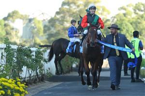 SYDNEY, AUSTRALIA - MARCH 18: Tyler Schiller riding Mariamia
wins Race 9 Kia Ora Galaxy during the Longines Golden Slipper Day - Sydney Racing at Rosehill Gardens on March 18, 2023 in Sydney, Australia. (Photo by Jeremy Ng/Getty Images)
