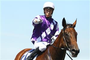 SYDNEY, AUSTRALIA - MARCH 18: Dylan Gibbons riding Wealthofknowledge wins Race 1 Midway during the Longines Golden Slipper Day - Sydney Racing at Rosehill Gardens on March 18, 2023 in Sydney, Australia. (Photo by Jeremy Ng/Getty Images)