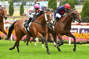 MELBOURNE, AUSTRALIA - MARCH 18: Carleen Hefel riding Vongole defeats Blaike McDougall riding Fearless Writer in Race 2, the Sharp Extensive It Handicap, during Melbourne Racing at Moonee Valley Racecourse on March 18, 2023 in Melbourne, Australia. (Photo by Vince Caligiuri/Getty Images)