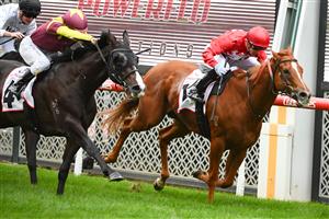 MELBOURNE, AUSTRALIA - MARCH 18: Daniel Moor riding Midwest winning Race 1, the Powerflo Solutions Vobis Gold Comet, during Melbourne Racing at Moonee Valley Racecourse on March 18, 2023 in Melbourne, Australia. (Photo by Vince Caligiuri/Getty Images)