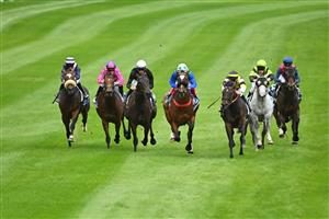 MELBOURNE, AUSTRALIA - MARCH 18: Dean Yendall riding Queen Air winning Race 3, the Piper-heidsieck The Mystic Journey, during Melbourne Racing at Moonee Valley Racecourse on March 18, 2023 in Melbourne, Australia. (Photo by Vince Caligiuri/Getty Images)
