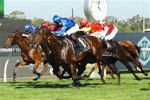 SYDNEY, AUSTRALIA - MARCH 18: James Mcdonald riding Anamoe wins Race 7 The Agency George Ryder Stakes during the Longines Golden Slipper Day - Sydney Racing at Rosehill Gardens on March 18, 2023 in Sydney, Australia. (Photo by Jeremy Ng/Getty Images)