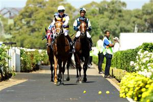 SYDNEY, AUSTRALIA - MARCH 18: Kerrin Mcevoy riding Timour wins Race 2 Kia N E Manion Cup during the Longines Golden Slipper Day - Sydney Racing at Rosehill Gardens on March 18, 2023 in Sydney, Australia. (Photo by Jeremy Ng/Getty Images)