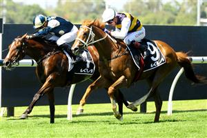 SYDNEY, AUSTRALIA - MARCH 18: Kerrin Mcevoy riding Timour wins Race 2 Kia N E Manion Cup during the Longines Golden Slipper Day - Sydney Racing at Rosehill Gardens on March 18, 2023 in Sydney, Australia. (Photo by Jeremy Ng/Getty Images)