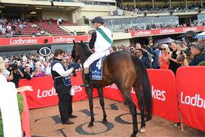 MELBOURNE, AUSTRALIA - MARCH 18: Luke Currie riding Mr Brightside after winning Race 7, the The Sharp Eit All-star Mile, during Melbourne Racing at Moonee Valley Racecourse on March 18, 2023 in Melbourne, Australia. (Photo by Vince Caligiuri/Getty Images)