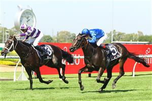 SYDNEY, AUSTRALIA - MARCH 18: Nash Rawiller riding Lindermann wins Race 4 Sky Racing Rosehill Guinea during the Longines Golden Slipper Day - Sydney Racing at Rosehill Gardens on March 18, 2023 in Sydney, Australia. (Photo by Jeremy Ng/Getty Images)