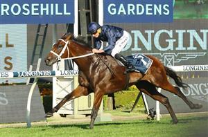 Rosehill Highlights - 2023 Golden Slipper Day