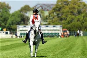 SYDNEY, AUSTRALIA - MARCH 18: A white horse is seen prior to the 2500m Race 2 Kia N E Manion Cup during the Longines Golden Slipper Day - Sydney Racing at Rosehill Gardens on March 18, 2023 in Sydney, Australia. (Photo by Jeremy Ng/Getty Images)