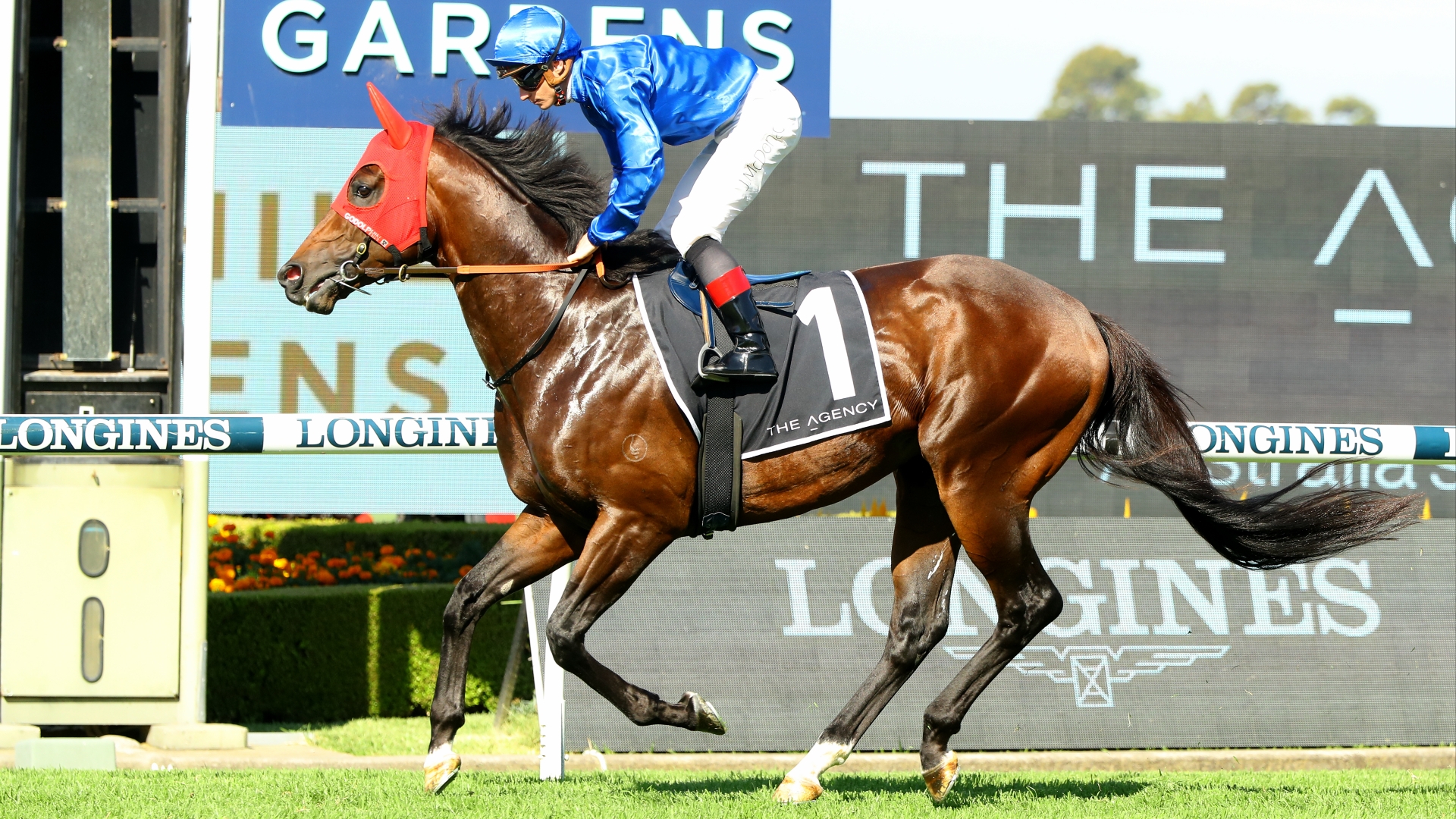 Big Bets Results - Bets.com.au - Big Bets winners, losers and results