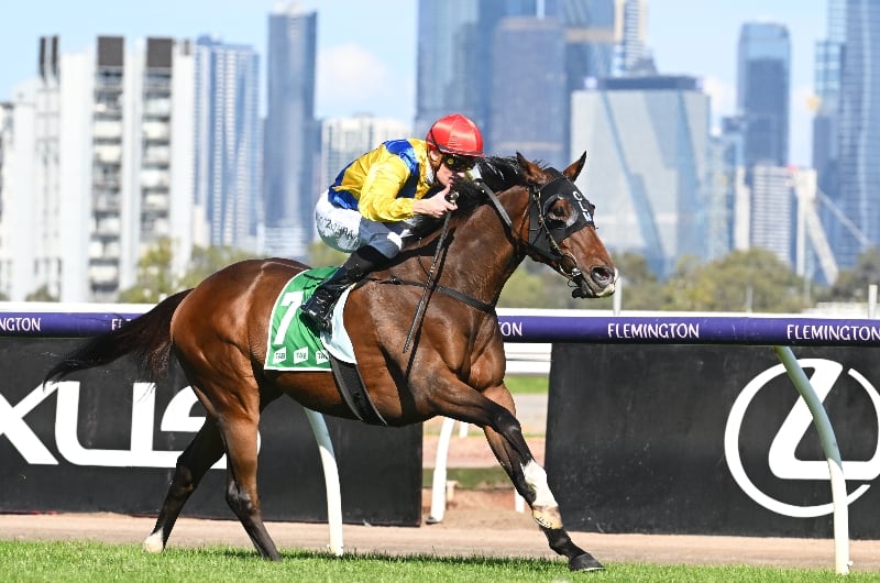 Australian Cup 2023 Barrier Draw Australian Cup 2023 Final Field