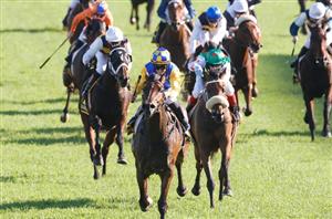 Tancred Stakes 2023 Barrier Draw & Final Field