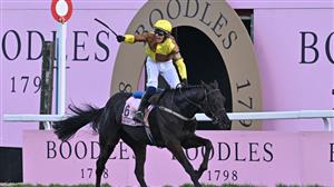 When is the 2024 Cheltenham Gold Cup?