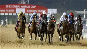 Meydan Tips on March 25th - Through the card tips on Dubai World Cup Night
