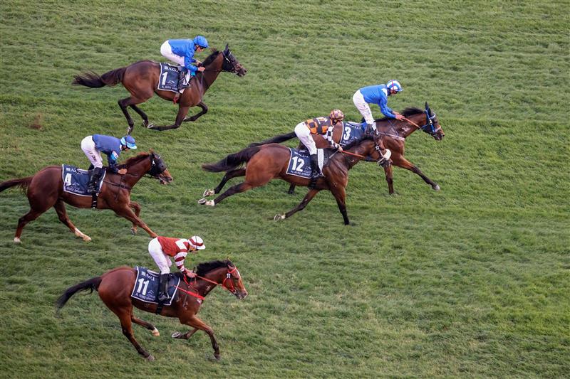 Jockey Dane ONeill riding 