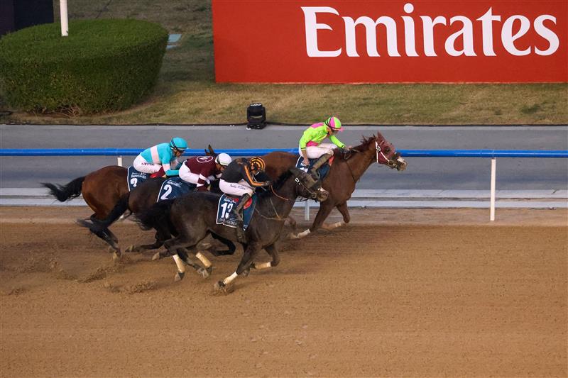 Jockey Ryan Moore on Sibelius (R) competes to win the Dubai Golden Shaheen at the Dubai World Cup horse racing event at the Meydan track in the Gulf emirate on March 25, 2023. (Photo by Karim SAHIB / AFP) (Photo by KARIM SAHIB/AFP via Getty Images)