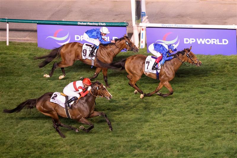 Jockey Frankie Dettori on 