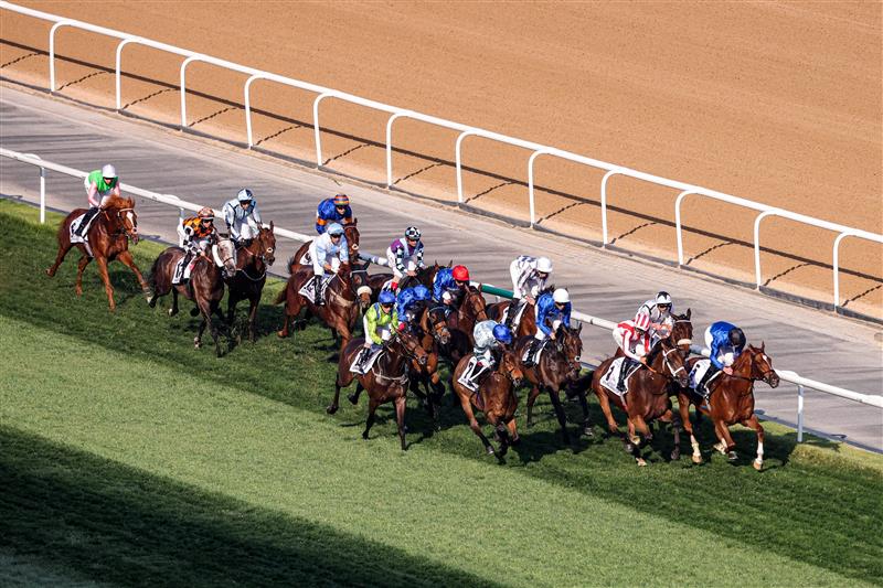 Jockeys compete in the Dubai Gold Cup race during the Dubai World Cup horse racing event at the Meydan racecourse in Dubai on March 25, 2023. (Photo by Karim SAHIB / AFP) / The erroneous mention[s] appearing in the metadata of this photo by Karim SAHIB has been modified in AFP systems in the following manner: [Jockeys compete] instead of [English jockey Ryan Moore, riding on the horse "Broome"]. Please immediately remove the erroneous mention[s] from all your online services and delete it (them) from your servers. If you have been authorized by AFP to distribute it (them) to third parties, please ensure that the same actions are carried out by them. Failure to promptly comply with these instructions will entail liability on your part for any continued or post notification usage. Therefore we thank you very much for all your attention and prompt action. We are sorry for the inconvenience this notification may cause and remain at your disposal for any further information you may require. (Photo by KARIM SAHIB/AFP via Getty Images)
