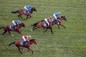 Jockey Dane ONeill riding