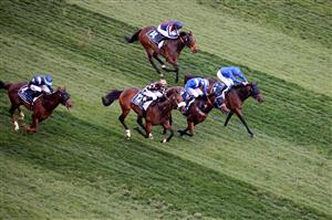 Jockey Dane ONeill riding