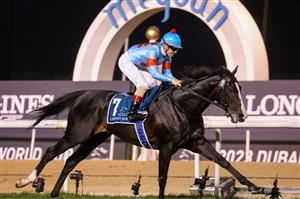 Jockey Christophe Lemaire on