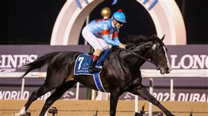 Dubai World Cup Night at Meydan (Pictures and Results)