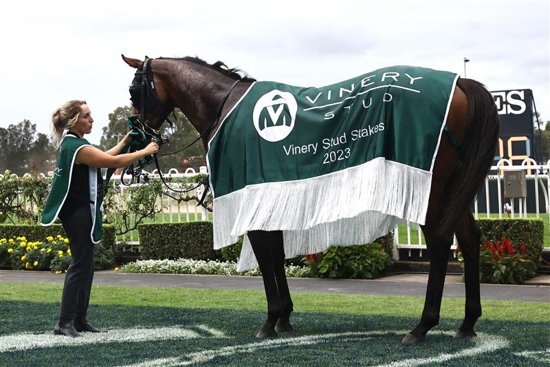 SYDNEY, AUSTRALIA - MARCH 25: Mark Zahra riding Prowess wins Race 7 Vinery Stud Stakes during Sydney Racing at Rosehill Gardens on March 25, 2023 in Sydney, Australia. (Photo by Jeremy Ng/Getty Images)