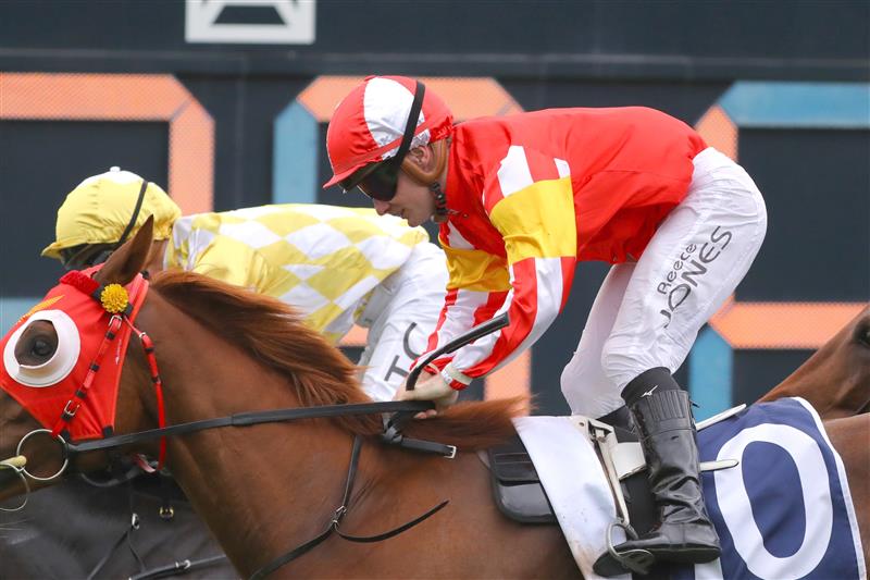 SYDNEY, AUSTRALIA - MARCH 25: Reece Jones riding Tapildoodledo wins Race 3 Elite Sand & Soil Tulloch Stakes during Sydney Racing at Rosehill Gardens on March 25, 2023 in Sydney, Australia. (Photo by Jeremy Ng/Getty Images)