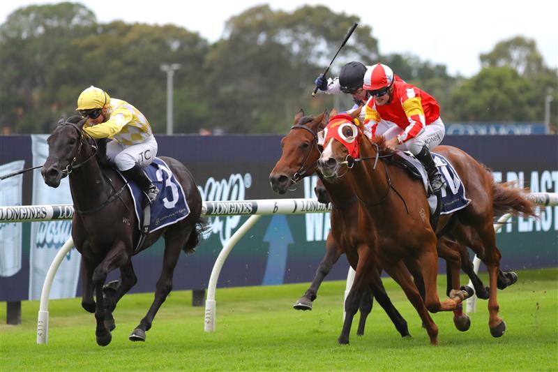 SYDNEY, AUSTRALIA - MARCH 25: Reece Jones riding Tapildoodledo wins Race 3 Elite Sand & Soil Tulloch Stakes during Sydney Racing at Rosehill Gardens on March 25, 2023 in Sydney, Australia. (Photo by Jeremy Ng/Getty Images)