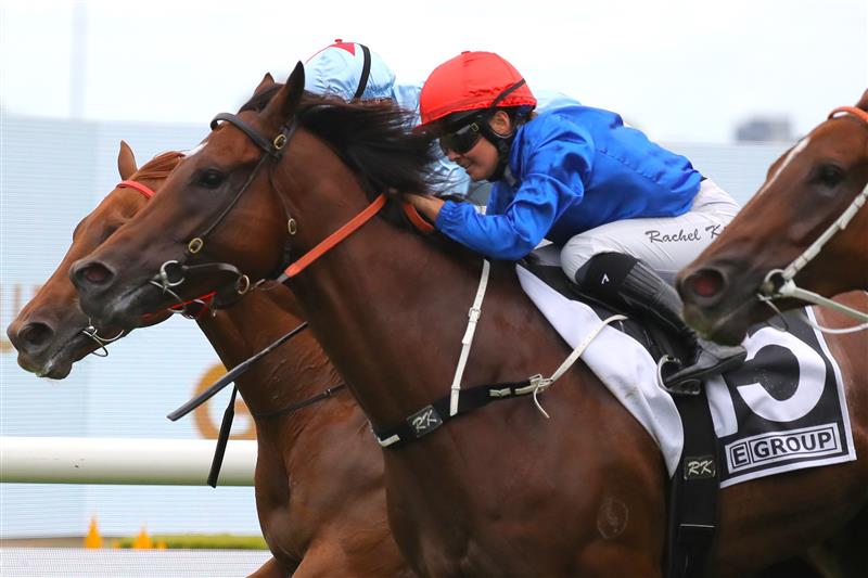 SYDNEY, AUSTRALIA - MARCH 25: Rachel King riding Bacchanalia wins Race 5 E-Group Security Star Kingdom during Sydney Racing at Rosehill Gardens on March 25, 2023 in Sydney, Australia. (Photo by Jeremy Ng/Getty Images)
