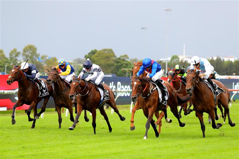 SYDNEY, AUSTRALIA - MARCH 25: Rachel King riding Arapaho wins Race 8 KIA Tancred Stakes during Sydney Racing at Rosehill Gardens on March 25, 2023 in Sydney, Australia. (Photo by Jeremy Ng/Getty Images)
